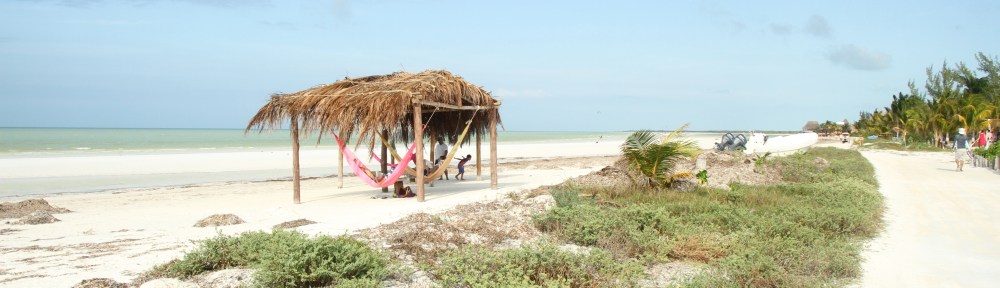 One way to kill a few hours in Holbox