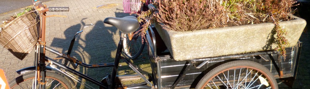 Bikes and flowers in Amsterdam